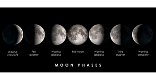  The Phases of the Moon