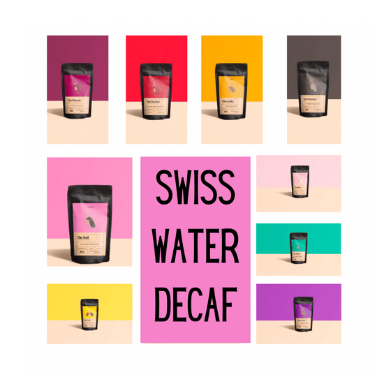 Swiss Water Decaf